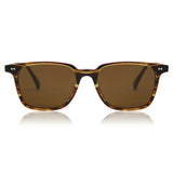 Arise Collective Albury C2 Polarized